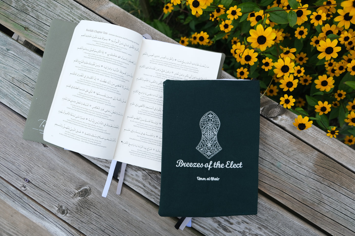Breezes of the Elect Cover